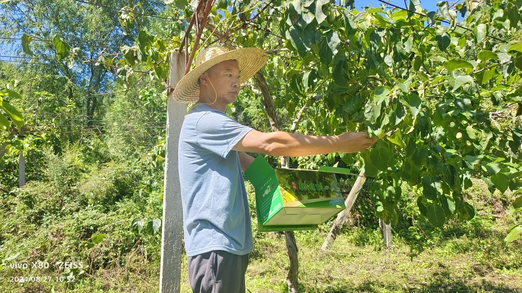 1757498063655.png 图片4.png