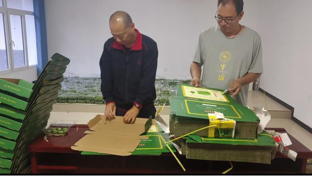 1757498109425.png 图片2.png